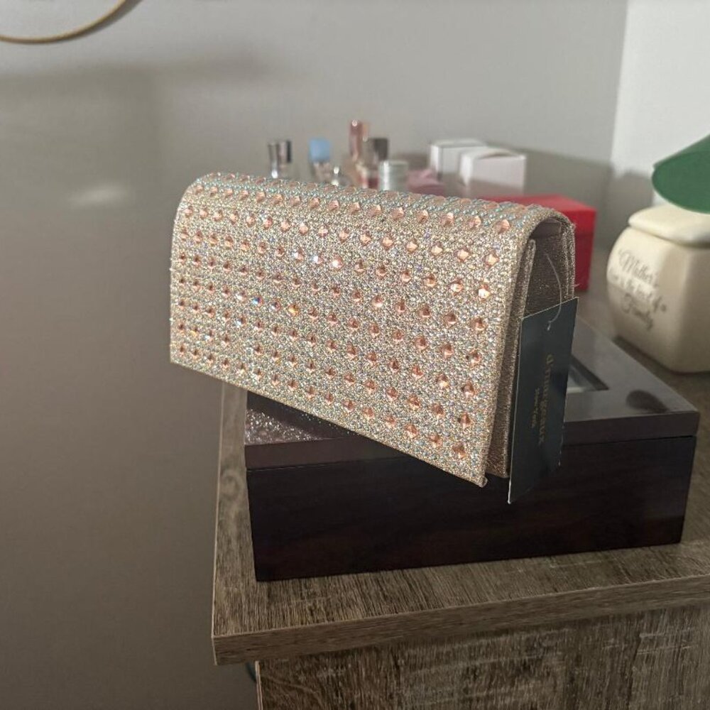 Fancy Clutch with Chain